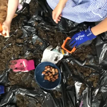 E9D0A743-1B24-4045-A38C-C8B88FBF4C18