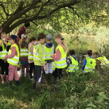 25B0A2F5-EA95-4C9B-BD60-A2B97F178D5F