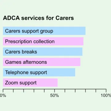 Outcomes Chart Carers