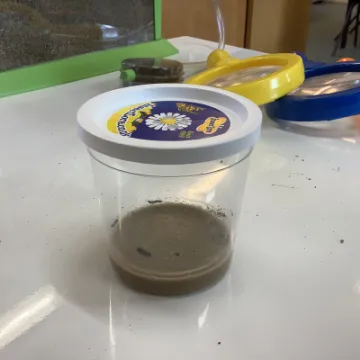 D3805540-CF72-4989-9B1B-06B3483B8883