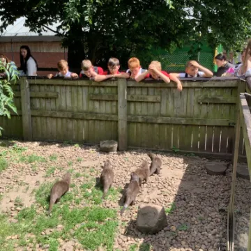 956530A0-CBD8-496C-A507-4CB657EB0A85