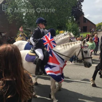Horse 1