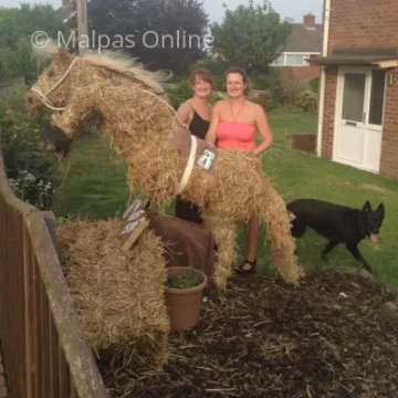Scarecrow 23