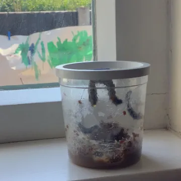 D3BC39CD-F0A9-4BFC-9342-B210C1A7873E