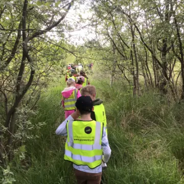 B5D2421A-C9FB-4DB2-97C1-27415FB95FBE