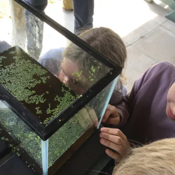 78A70984-9F70-4FA2-B120-F3486DA916AE