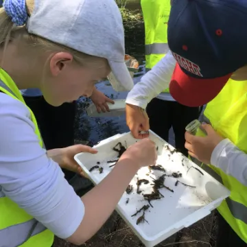 62584E5D-5F27-488E-A09A-4913ABFA3833