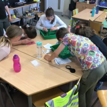 08FB3C92-641B-49F7-9F4A-D67D7FD5107B