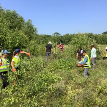 381E248C-A979-4453-8A21-0413A192E545