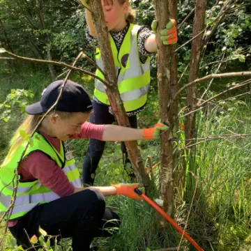 AAE82C34-F66F-43E8-956D-E479A4078FDF