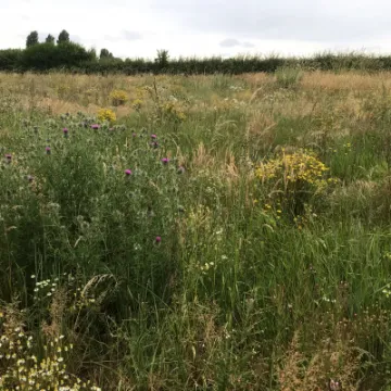 C5EE96A5-27DB-4D7E-8530-ED7E3D525964