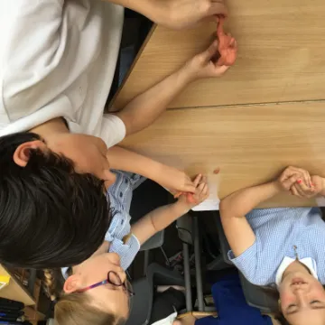 6CCB23D7-507C-4865-8304-048C00B00CDA