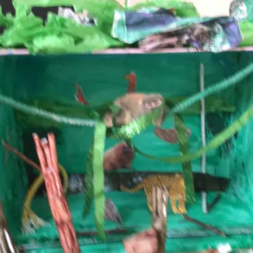 95D19DE2-C533-4888-A3AE-44467EB3858E