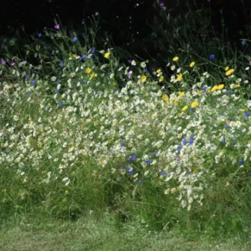 82654E4D-4708-4259-A29B-03EA1006401A