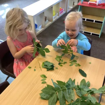 E3BA9717-9A5F-439D-AA01-F266C488A83C