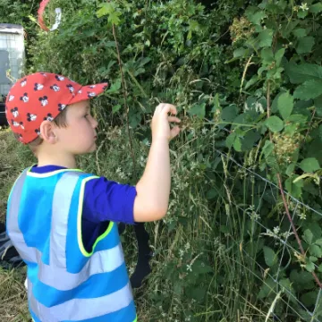 15944479-64A6-4985-9136-84F32E2D5EF5