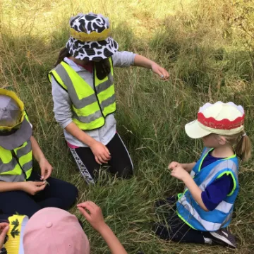 F4F47399-D791-4106-8ED1-E0D1481C09D5