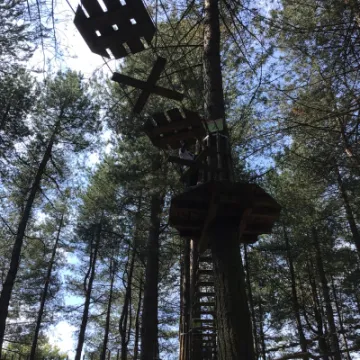 B8A63F5D-FC73-4427-9FDE-AA613E882A78