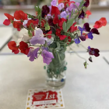 3B6642C0-946D-4656-B865-65F4A144F688