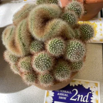 01C0034F-F06A-4F6E-940A-B6871B38A0E6