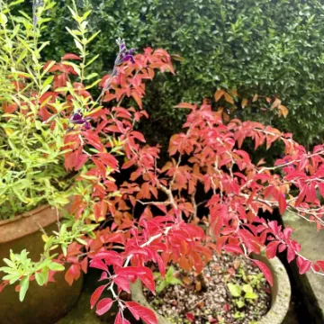 BF404E3C-C8D8-481E-A3F1-6AB30CF477B3