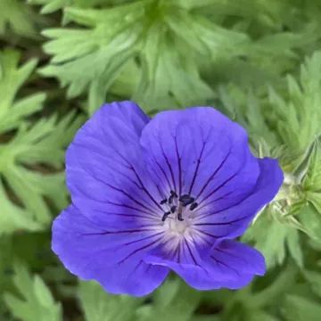 6EB56269-8FF4-4273-9626-84D9893836B7