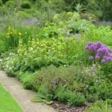 Ness Gardens jpg22