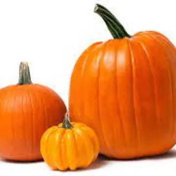 Piumpkins2