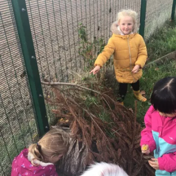 2233009F-917E-44C1-8528-0F0C9B915E4C