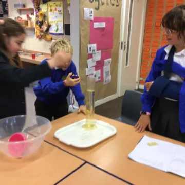 AA2A7354-FCC9-4902-9581-B13C2EA3B93F