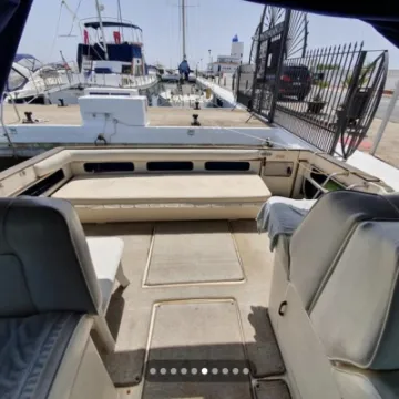 Searay8