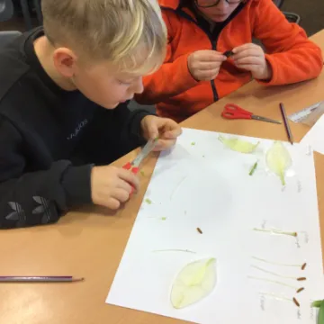 4D4FEC51-F59B-4394-ACC9-F1E5ADE02A2E