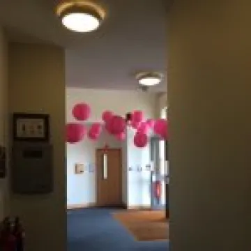 Chinese Lanterns – Lifepath