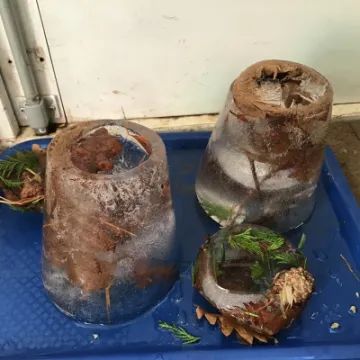 AEB506F5-9588-440C-9970-E07728057EB7