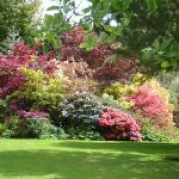 garden_04