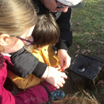 FD523695-BD9E-49F7-BFFE-6E21E8D9F723