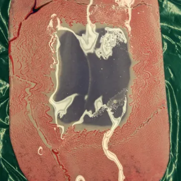 PXL_20230118_161651206