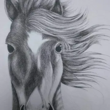 Screenshot_20230118_202619_facebook (1)