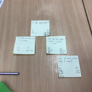 0009EAD0-D8E5-4B16-9DA3-FE5EDFE52014