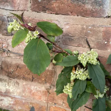 1492CA89-7041-42EC-846A-DB2AD07D3D33