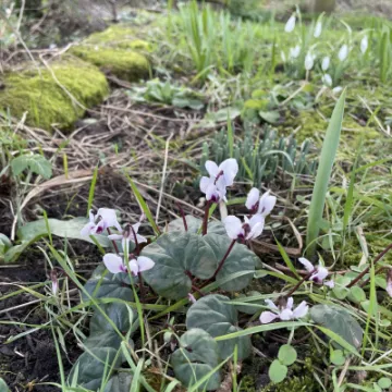 5224D5A3-A434-4406-83B0-14911439F1E4