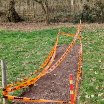 TCW Wild Meadow Flower Patch IMG20230219152728[367315]