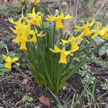 6B3FA494-74BB-4913-A198-086E23C15B44