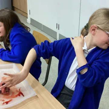 8093AADE-A3EF-4D35-AA7C-241BC2BE12B0