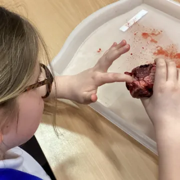 00B3135E-36D0-4175-9918-0CBB6ECD81C4