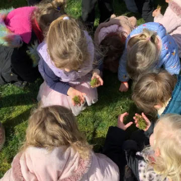 E1170010-FEF2-4835-B66F-65E0A79E2216