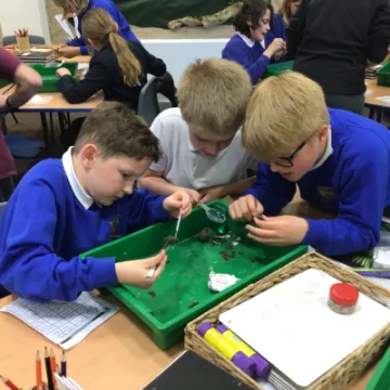 11EDD00F-9331-4765-9B11-7FABEDF89308