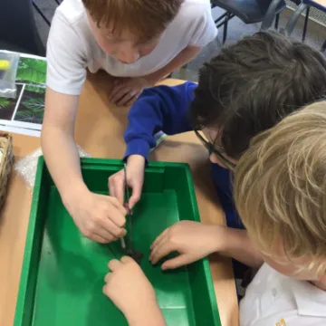 1DEDF1E8-661B-471C-905A-E761404E66F5