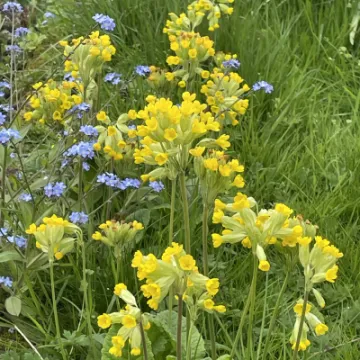 AF7D7CF1-42A4-439D-BE2D-CA8063D21D74