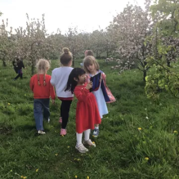 F0DA2FFA-52F0-454B-B53B-2FC43870D085